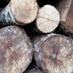 Alliance-Bois-de-Chauffage-Hêtre-pile3