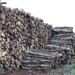 Alliance-Bois-de-Chauffage-Hêtre-pile3