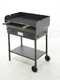 cruccolini-massa-barbecue-bois-et-charbon-en-fer-artisanal–agrieuro_5996_1
