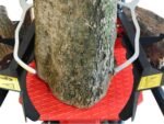 docma-sf100-rapid-benz-loncin-g200f-fendeuse-bois-thermique-verticale–agrieuro_44820_1