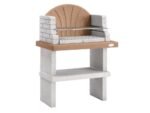 palazzetti-siviglia-barbecue-bois-et-charbon-en-maonnerie–agrieuro_51885_1 (1)