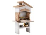palazzetti-tupai-2-barbecue-bois-et-charbon-en-maonnerie-barbecue-palazzetti-tupai-2–61752_16_1747993756_IMG_6830449cb1632 (1)
