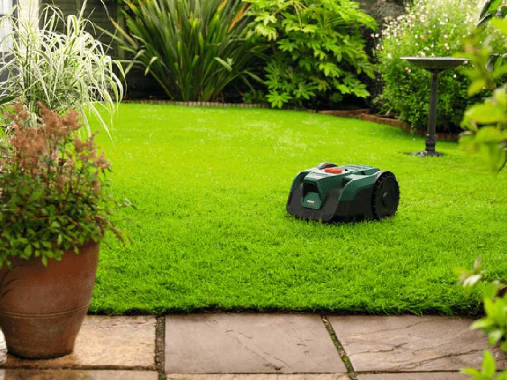 bosch-visimow18v-100-robot-tondeuse-sans-installation-sans-batterie-ni-chargeur-smartvision--71177_7_1771411487_IMG_6995981fbe247