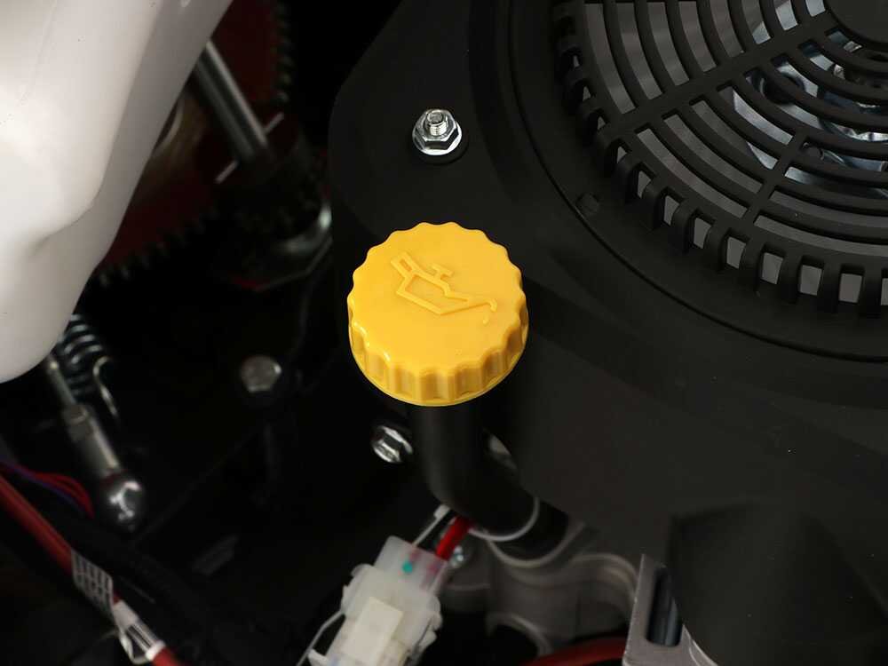 castelgarden-cg-98-sd-tondeuse-autoporte-11-5-cv-tracteur-tondeuse-jection-latrale-moteur-stiga-st-350--15499_14_1753885249_IMG_688a2a41990fa