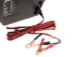 ribimex-pe12v-treuil-lectrique-batterie-12v-avec-tlcommande–agrieuro_55282_3