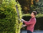 ryobi-rht8165rl-taille-haie-lectrique-avec-lame-de-65-cm-800w–agrieuro_29380_1