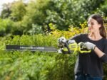 ryobi-rht8165rl-taille-haie-lectrique-avec-lame-de-65-cm-800w–agrieuro_29380_1